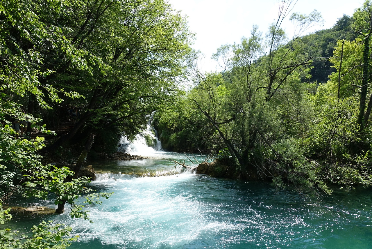 2018-06-20 15.53.23.jpg