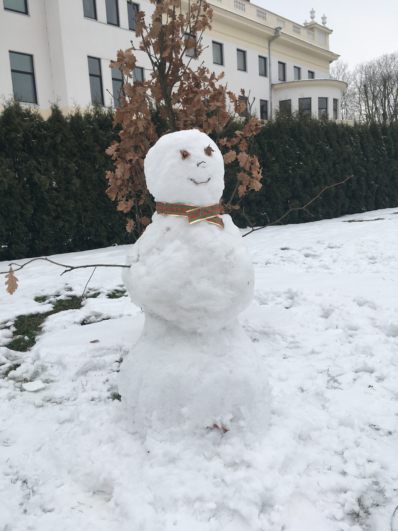 2017-01-14 10.23.29.jpg