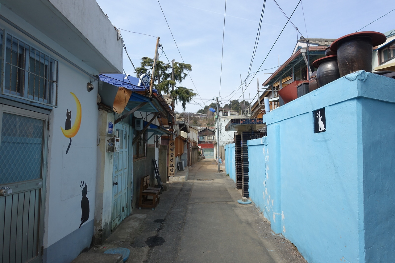 2019-03-09 06.33.33.jpg