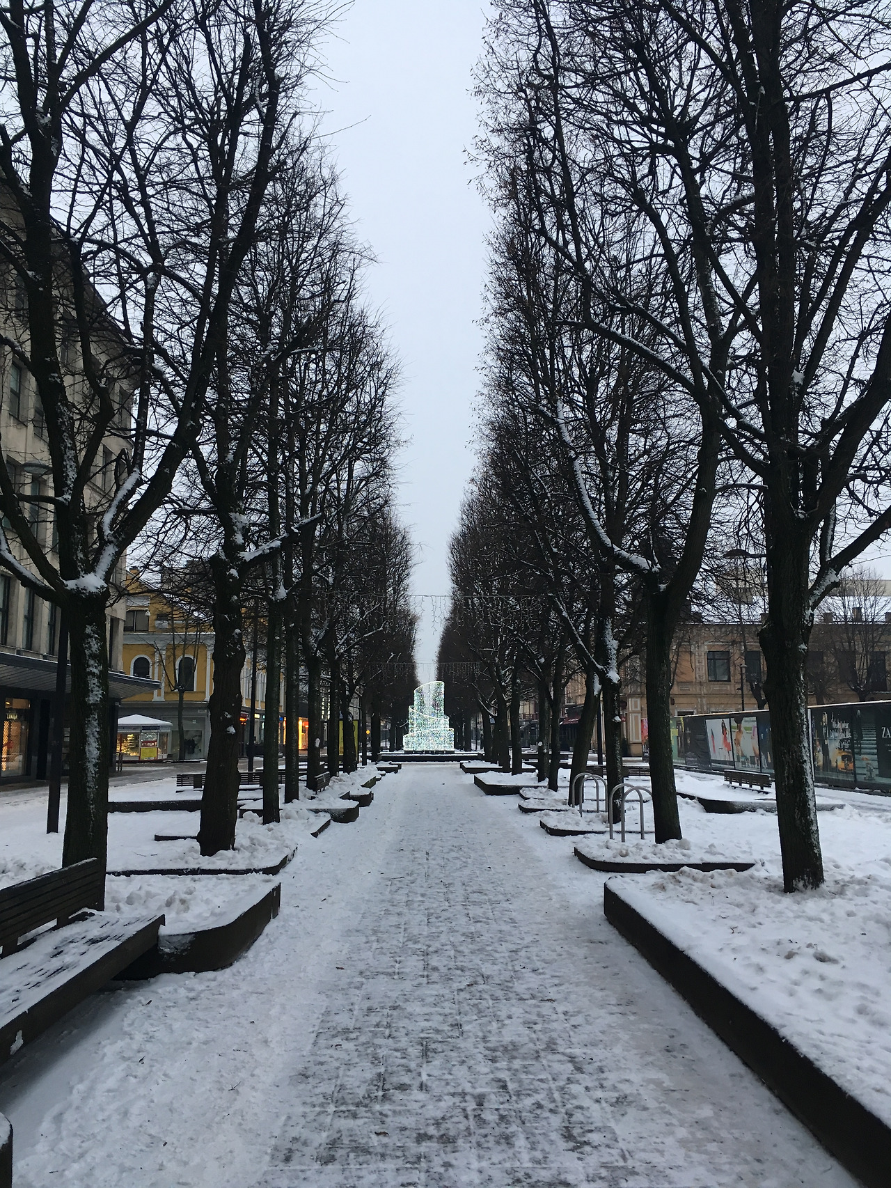 2017-01-14 09.13.22.jpg