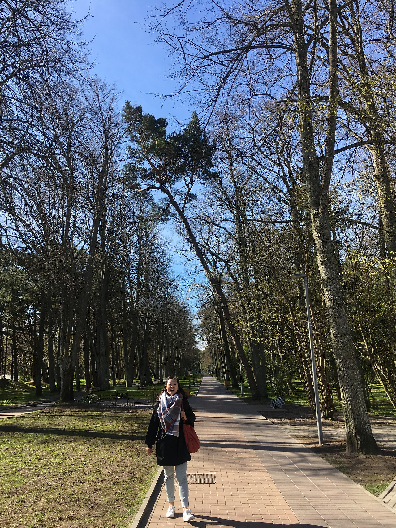 2017-05-04 09.49.52.jpg