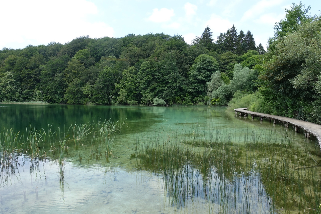 2018-06-20 12.30.43.jpg