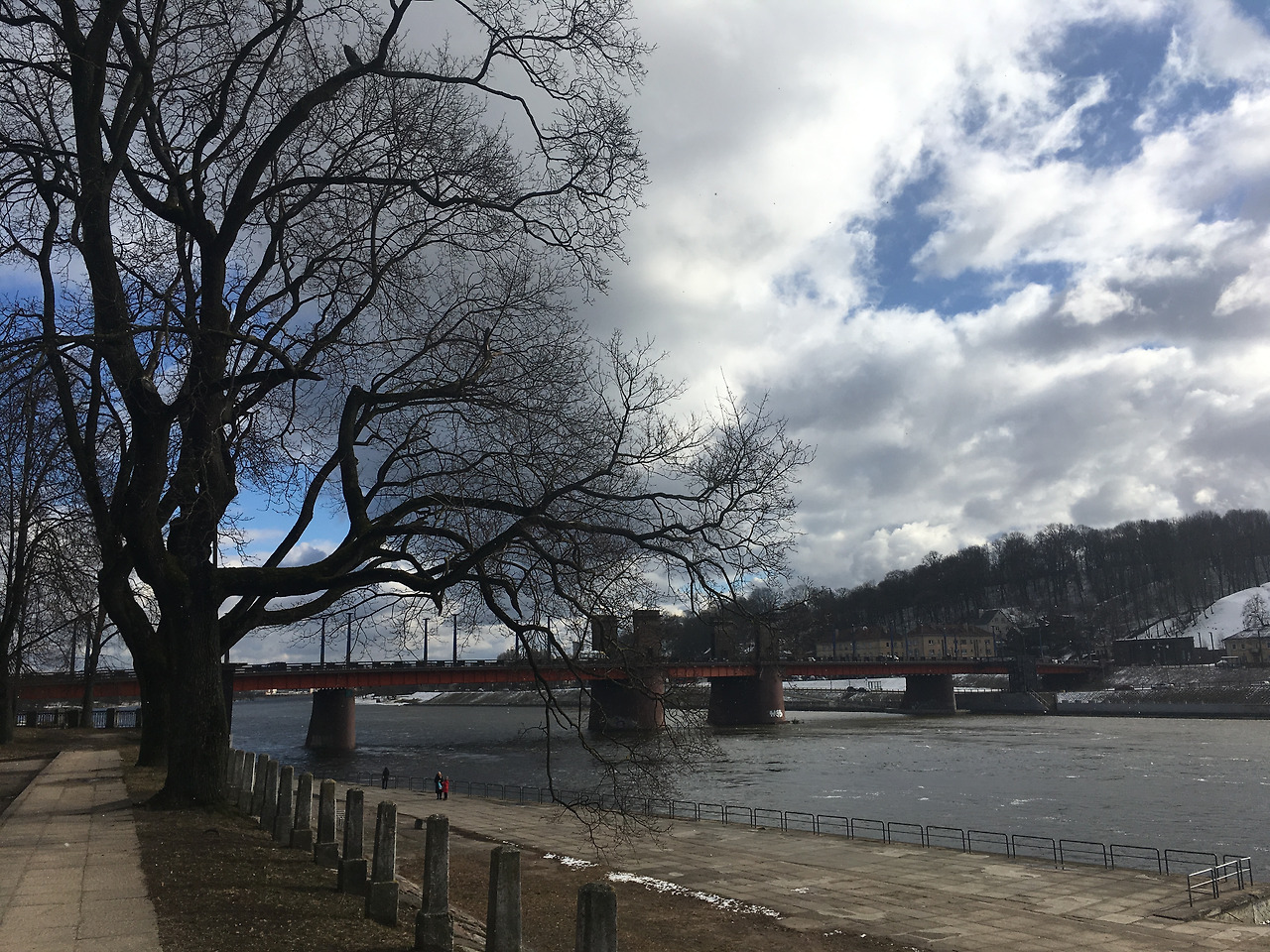 2017-02-25 13.22.35.jpg