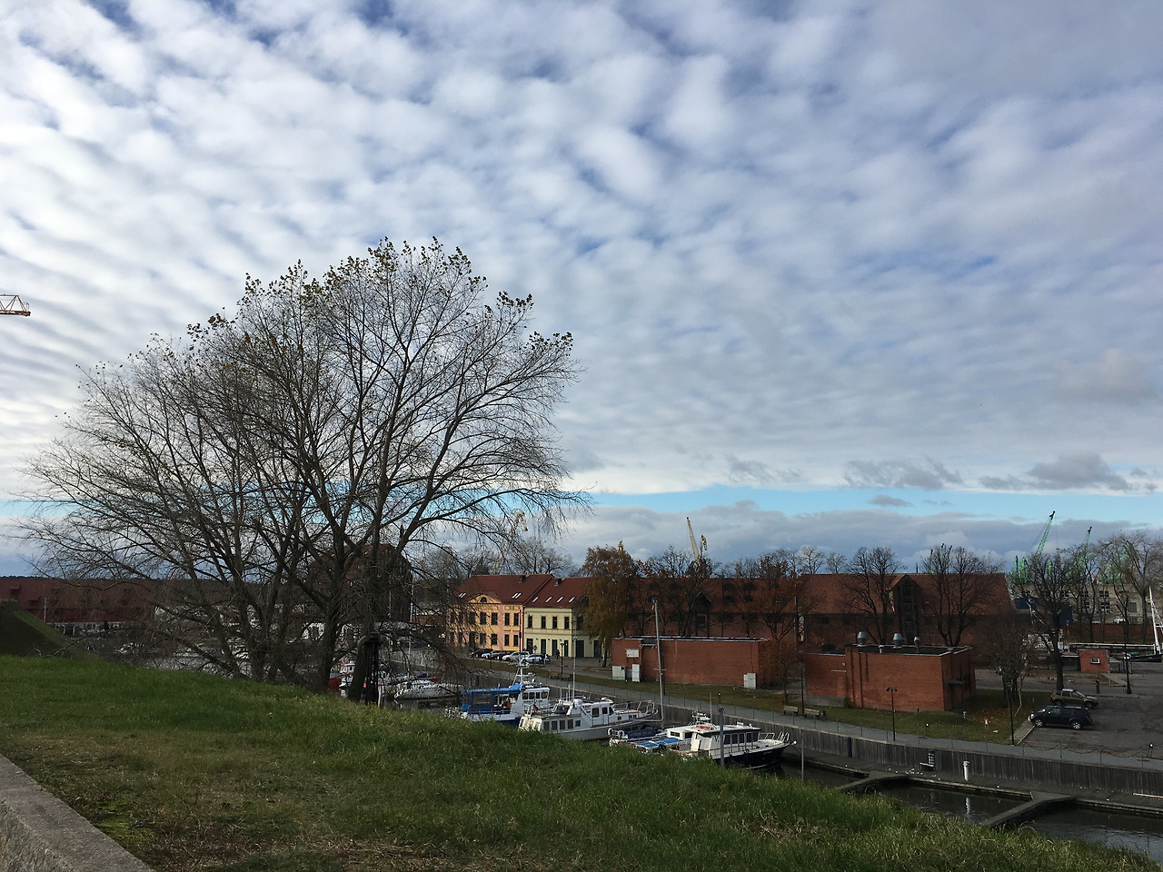 2016-11-03 13.49.28.jpg