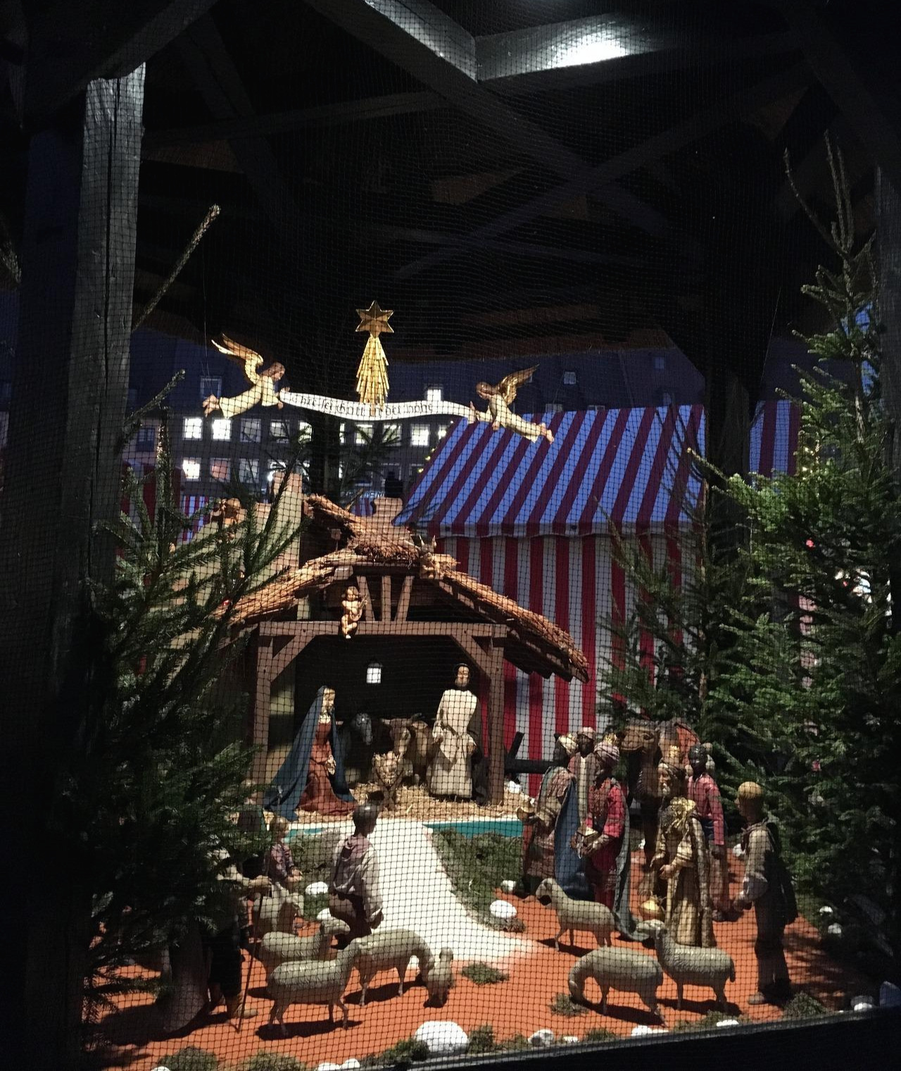 2016-12-06 16.37.47.jpg