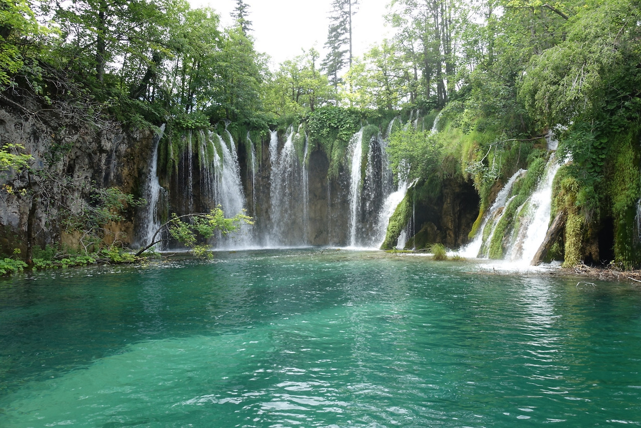 2018-06-20 13.50.55.jpg