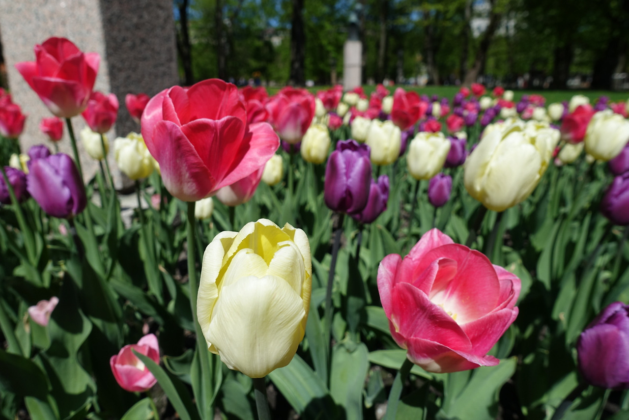 2018-05-01 13.14.17.jpg