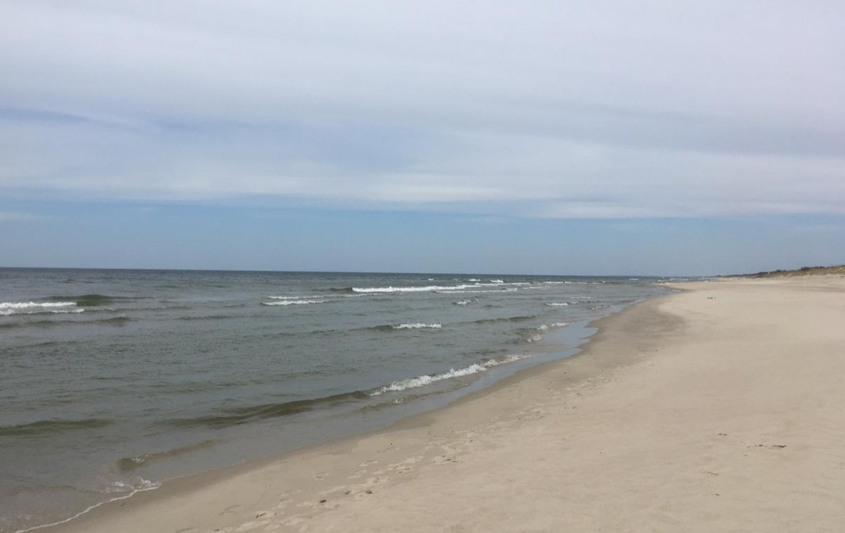 2017-05-04 15.13.50.jpg