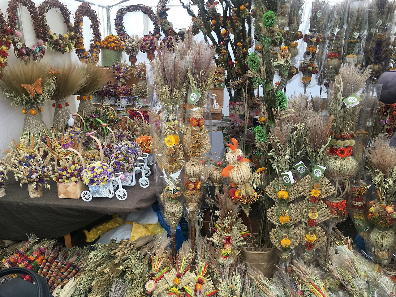 2018-03-10 14.13.34-1.jpg