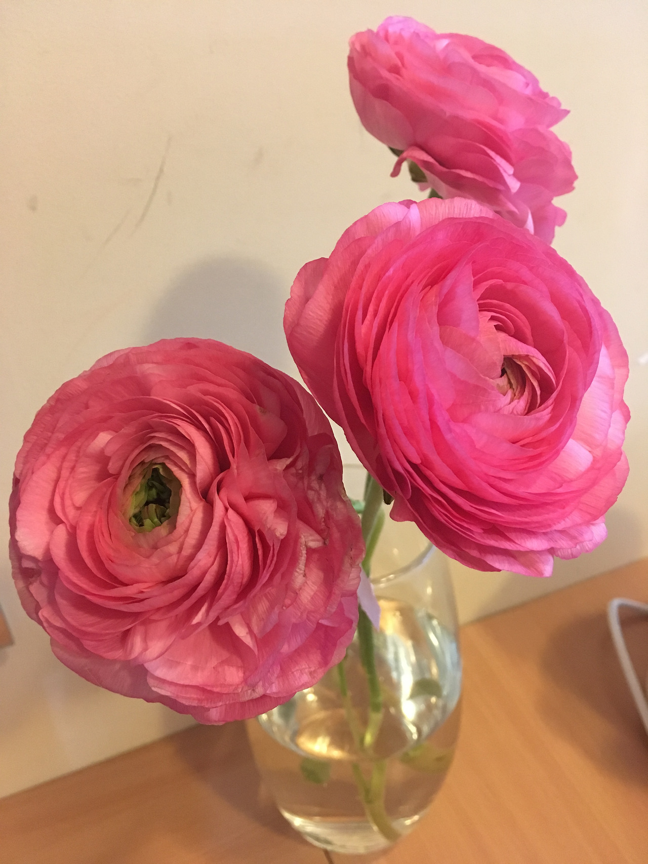 2017-03-17 15.07.30.jpg