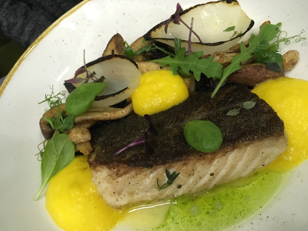 2016-11-03 18.52.27.jpg