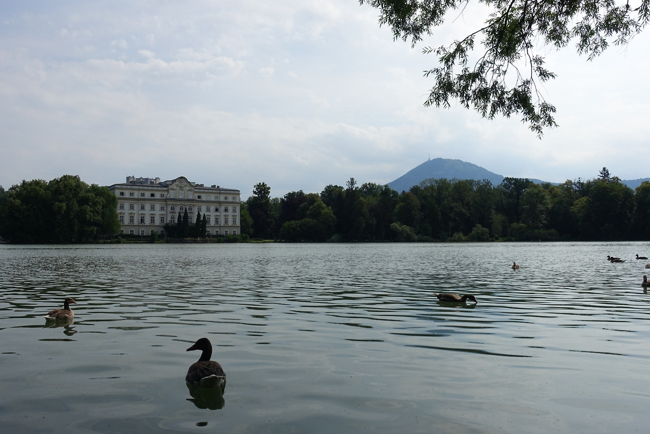 2018-06-17 10.46.06.jpg