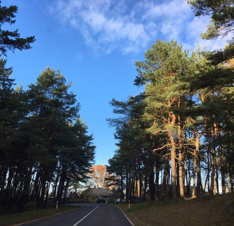 2016-11-03 17.37.17.jpg