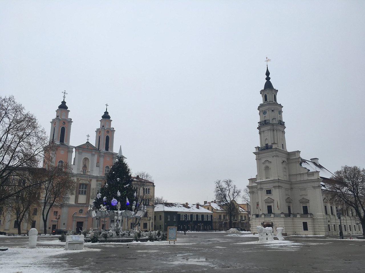 2017-01-14 09.42.18.jpg