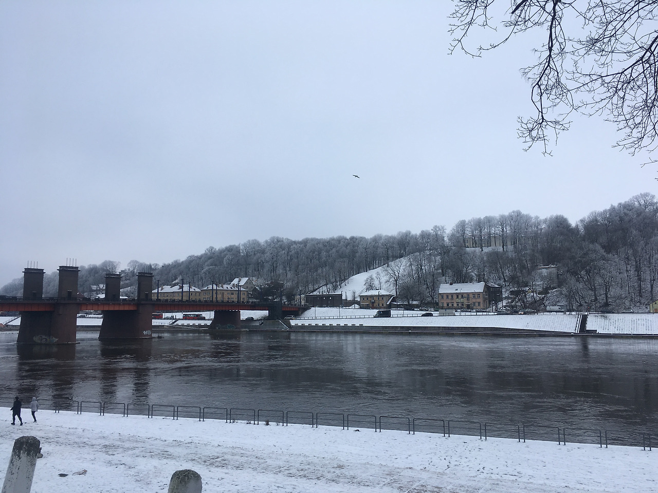 2018-02-09 14.59.24.jpg