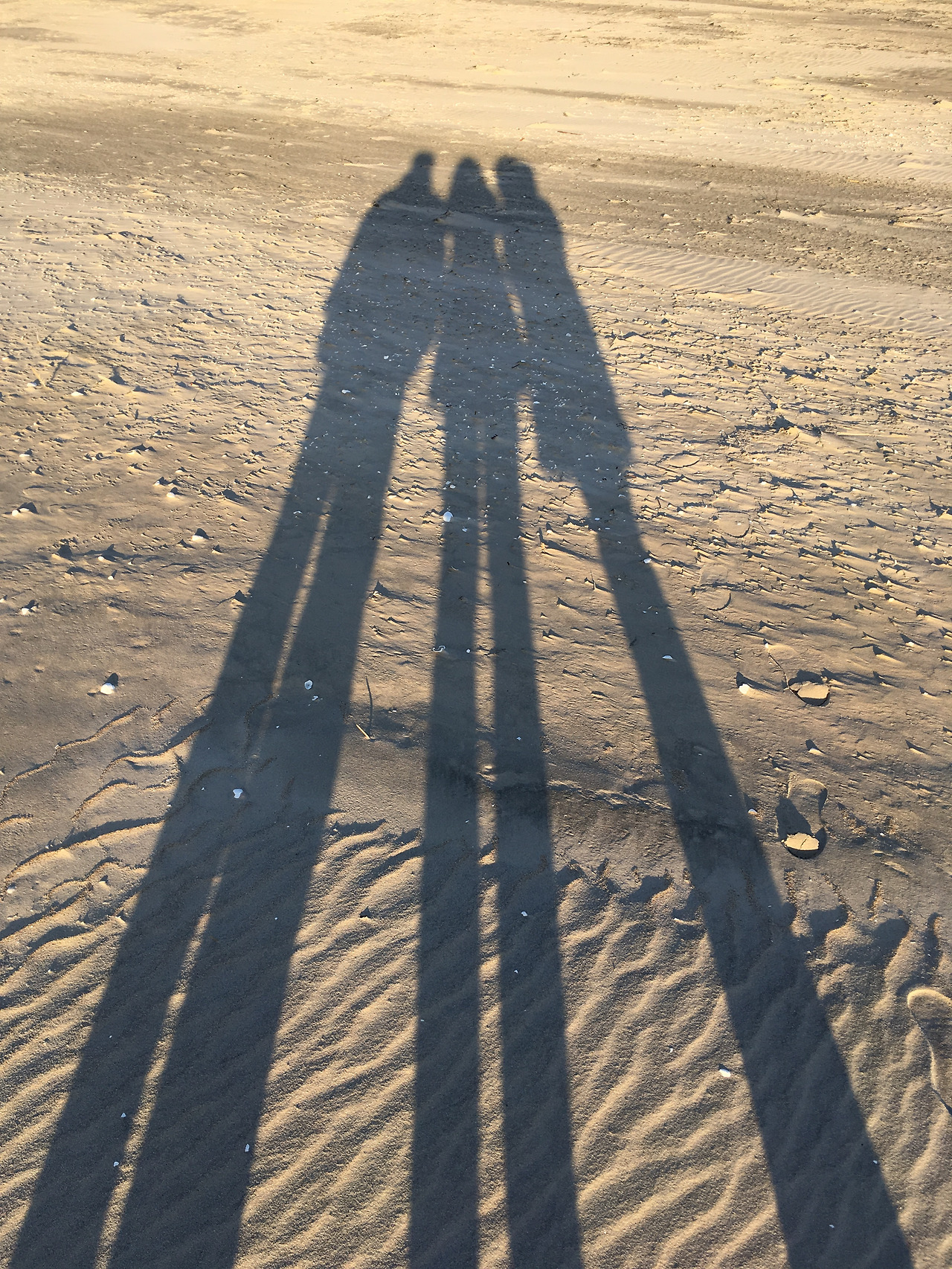 2016-11-03 15.43.19.jpg