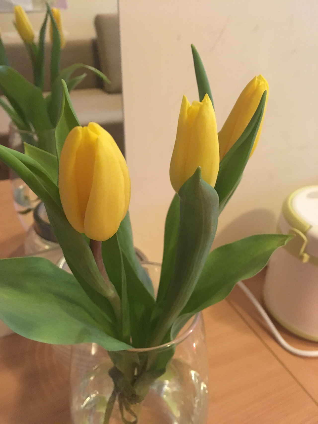 2017-02-16 17.01.34.jpg