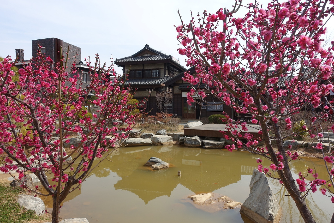 2019-03-09 06.23.53.jpg