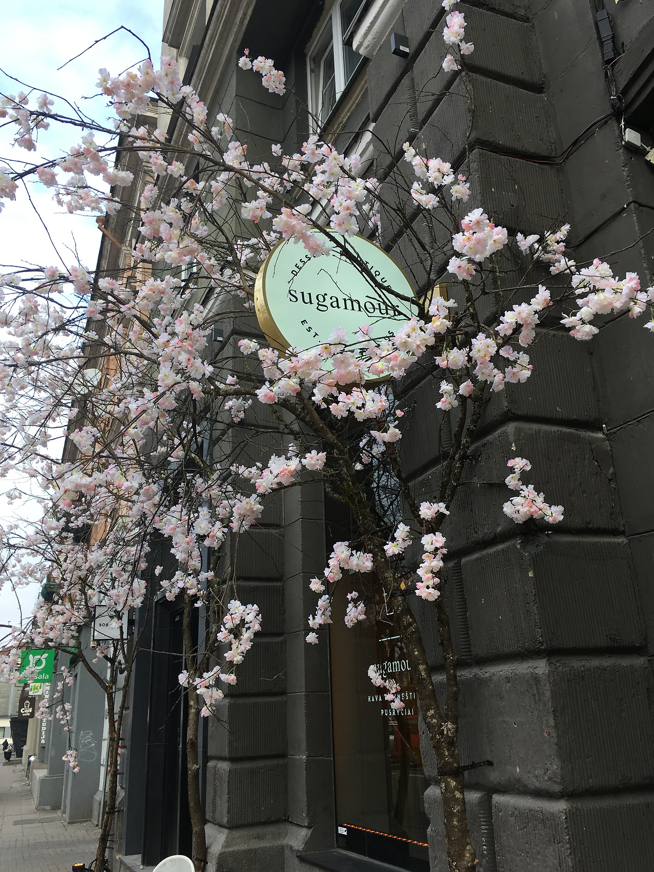 2017-03-12 09.41.15.jpg