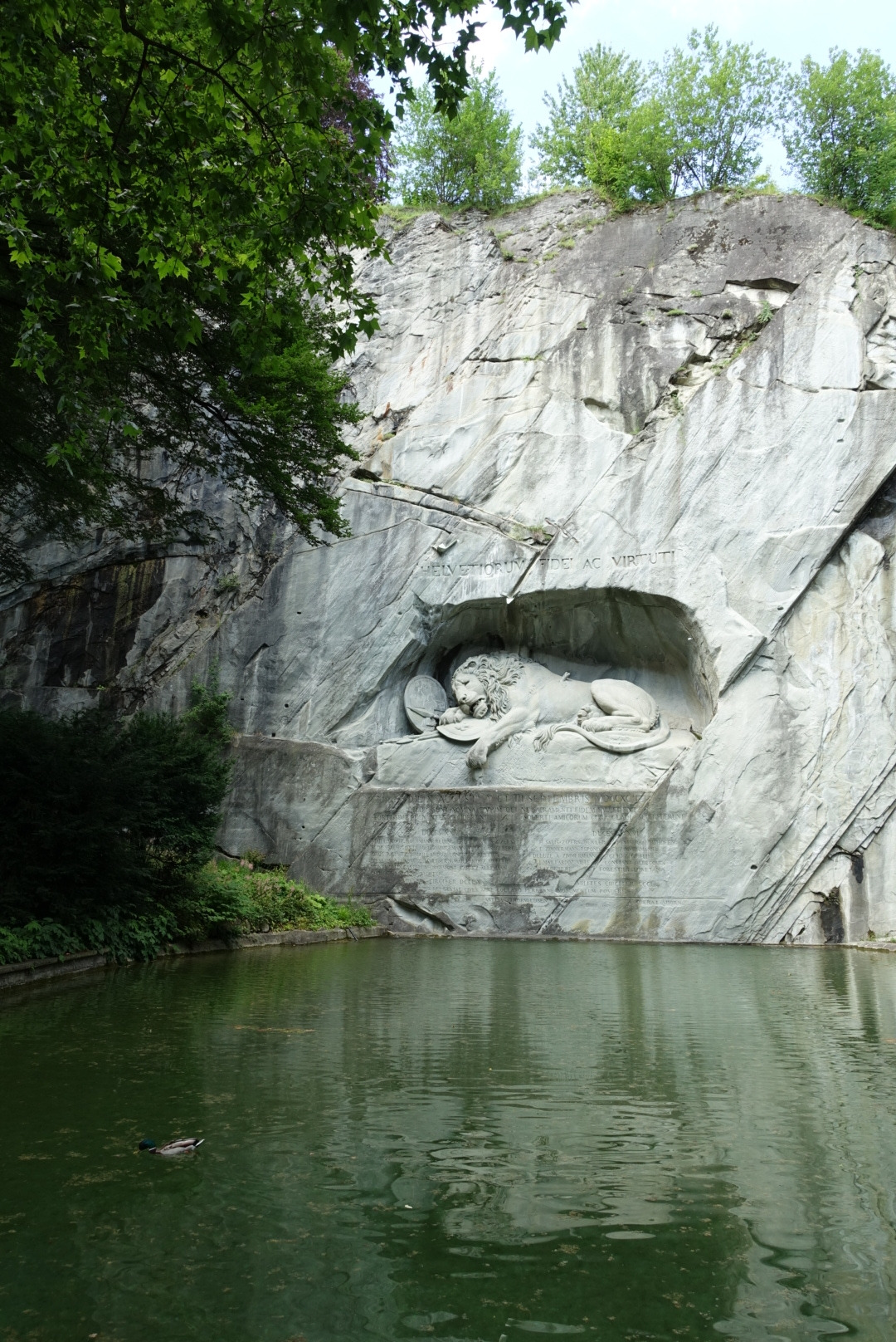 2018-06-14 17.33.44.jpg