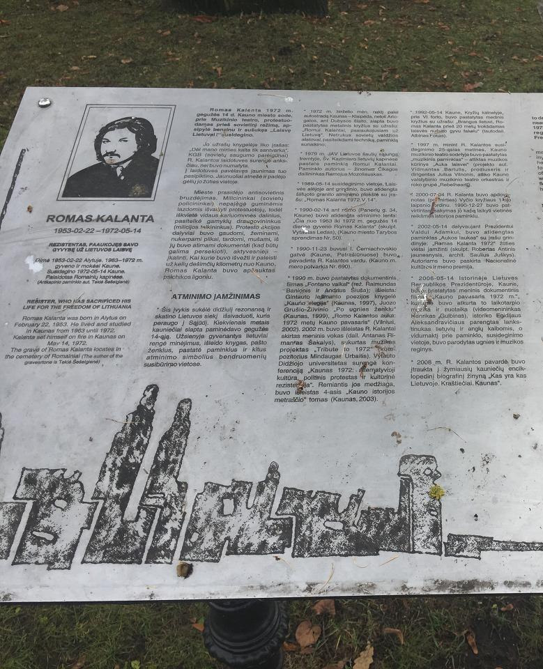 2016-11-20 14.14.06.jpg