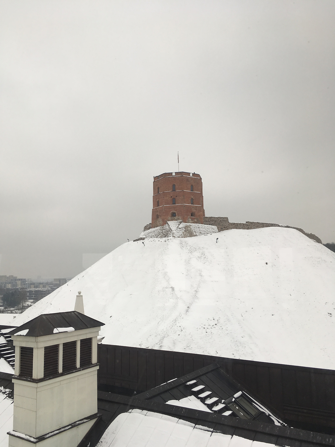 2017-01-17 13.18.53.jpg