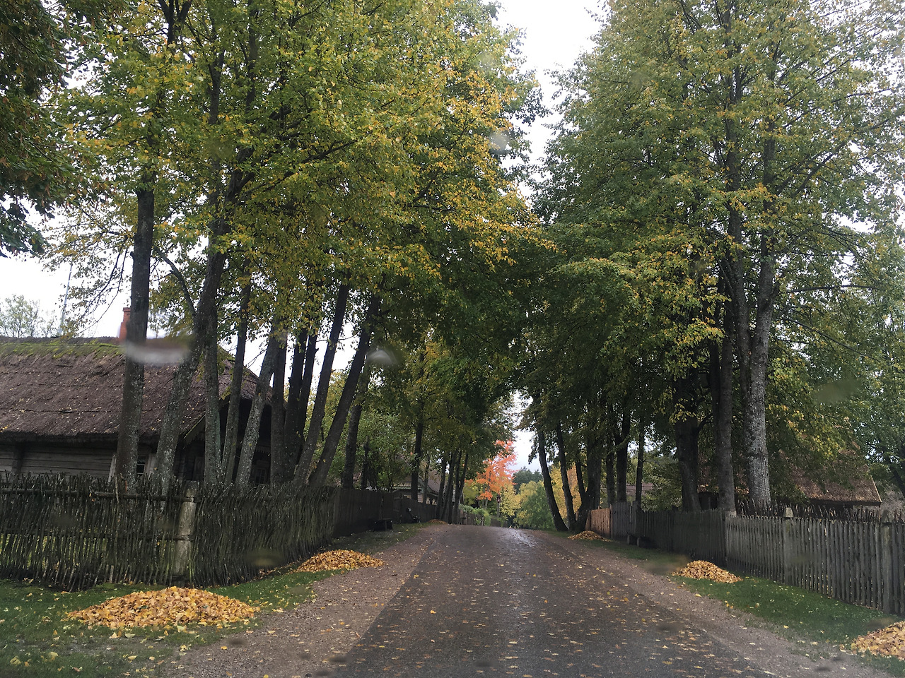 2017-10-05 14.12.49.jpg