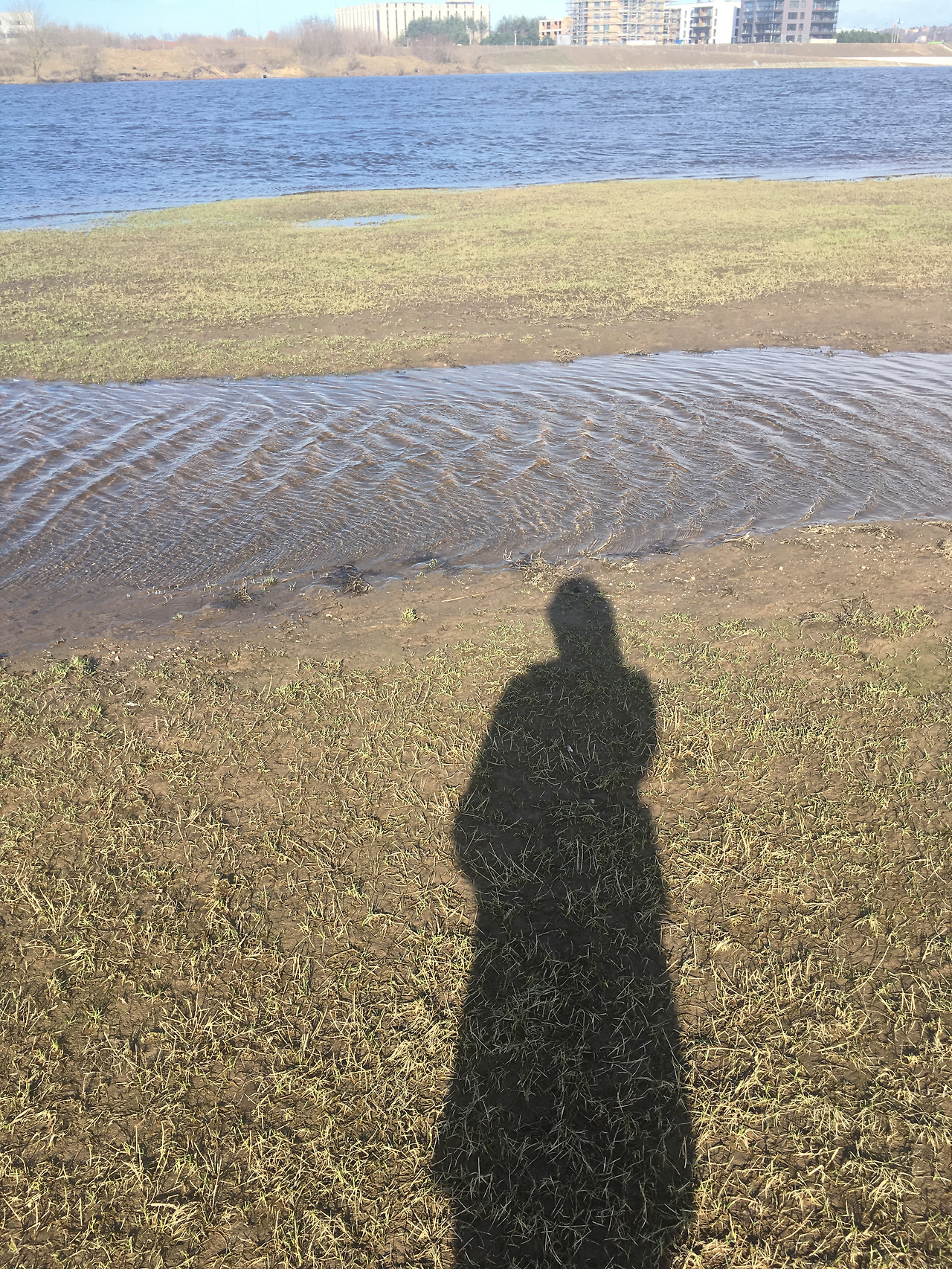 2017-03-22 15.19.53.jpg