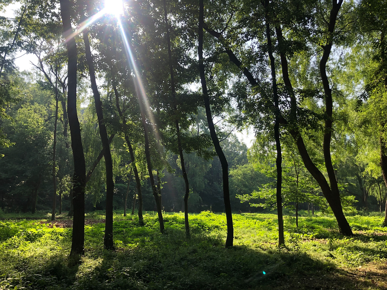 Image from iOS (16).jpg