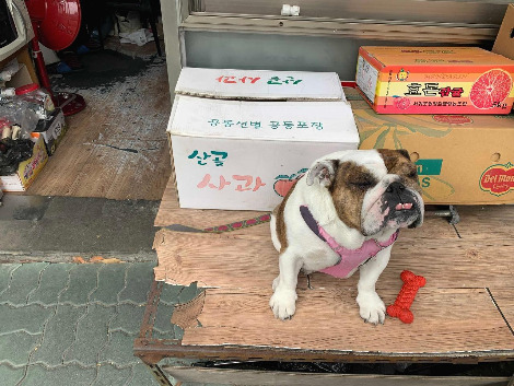 Image from iOS (9).jpg