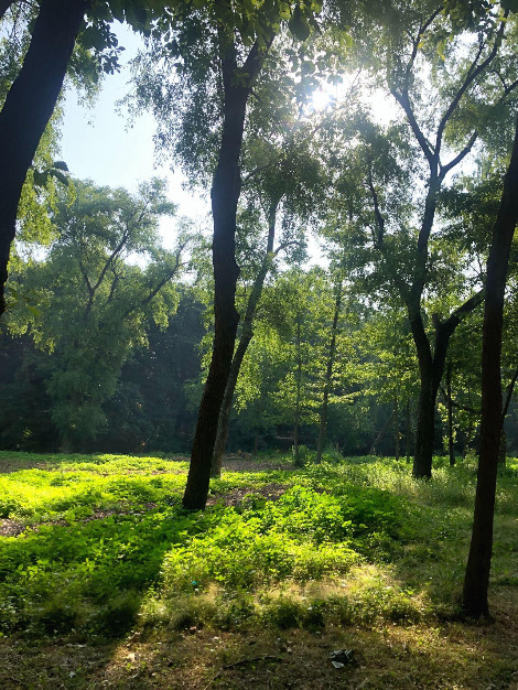 Image from iOS (17).jpg