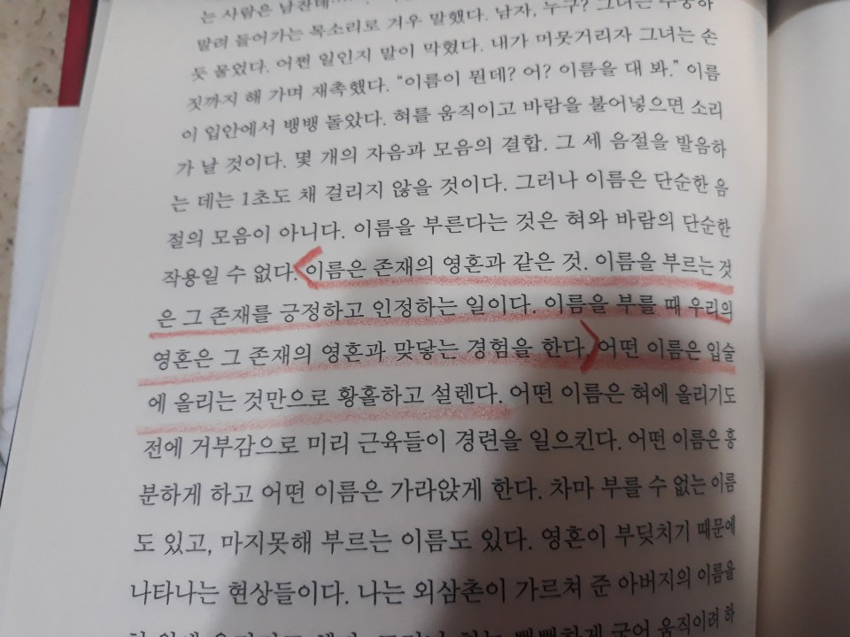 한낮의 시선 인용.jpg