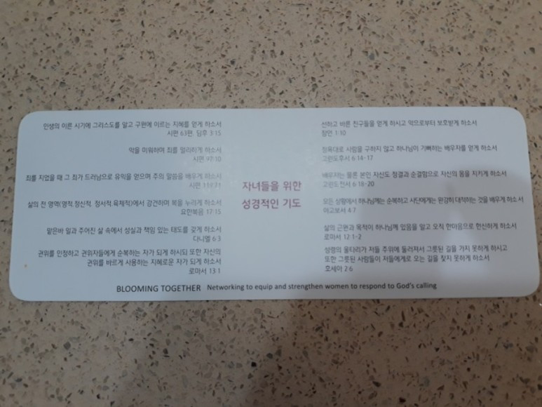 마더와이즈 2.jpg