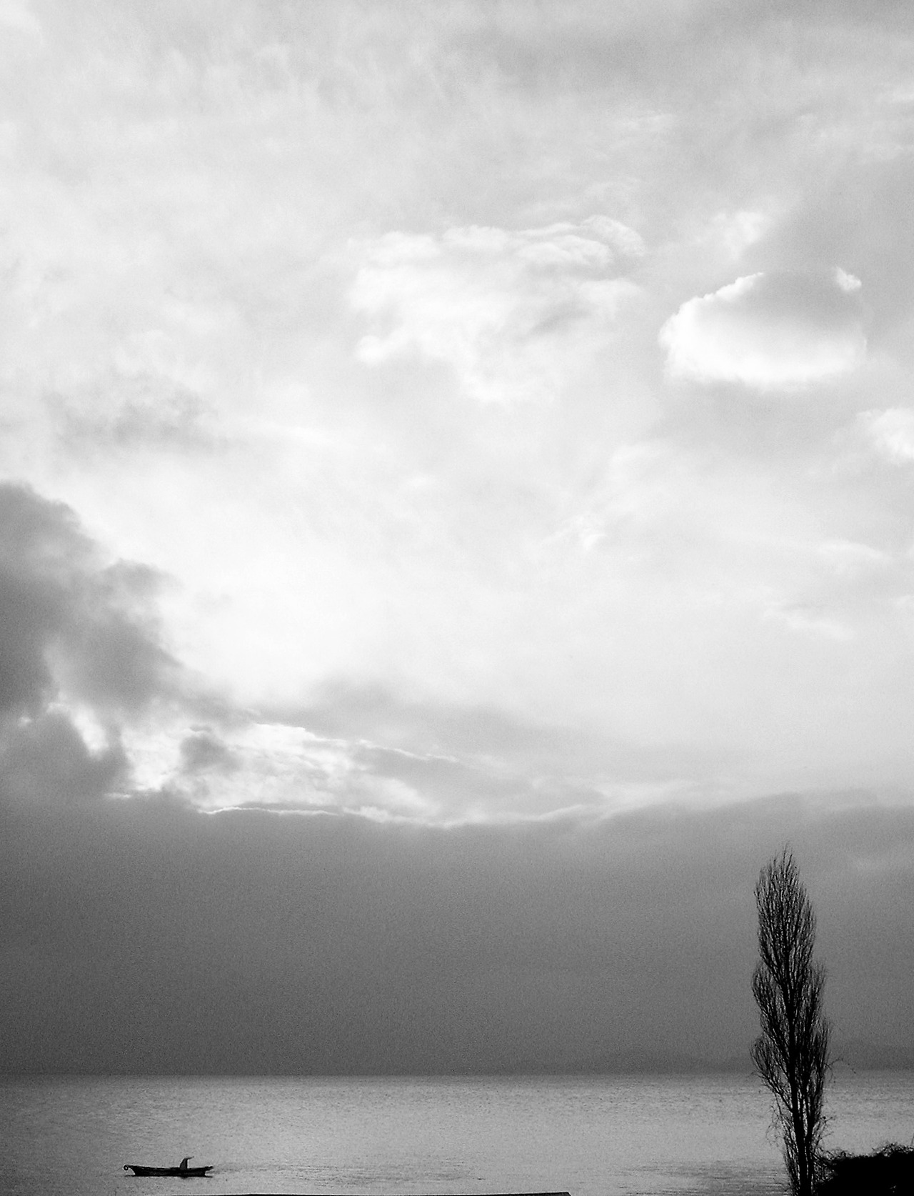 DSCN0246_SnapseedCopy (1)_SnapseedCopy.jpg