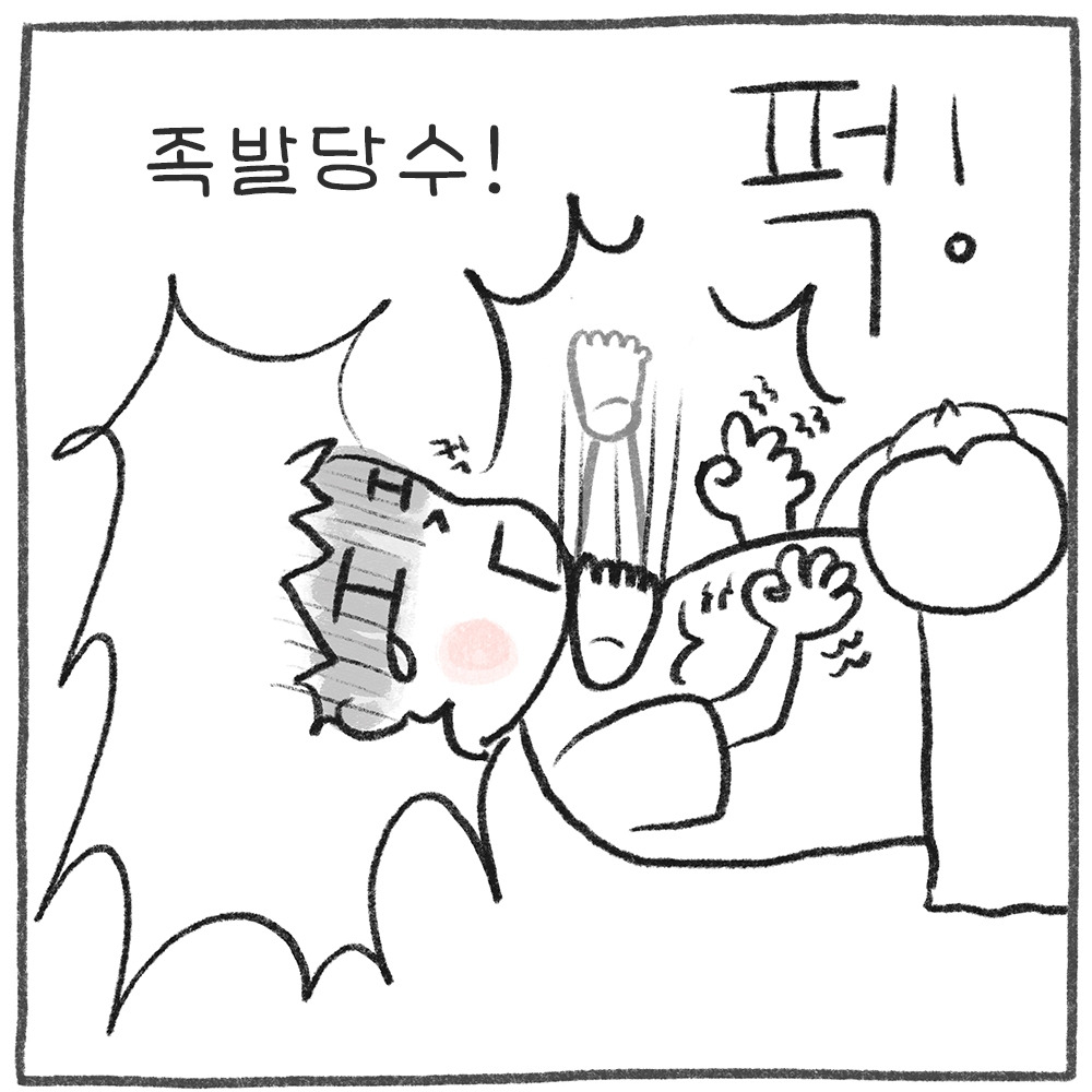 007_07(족발당수).jpg