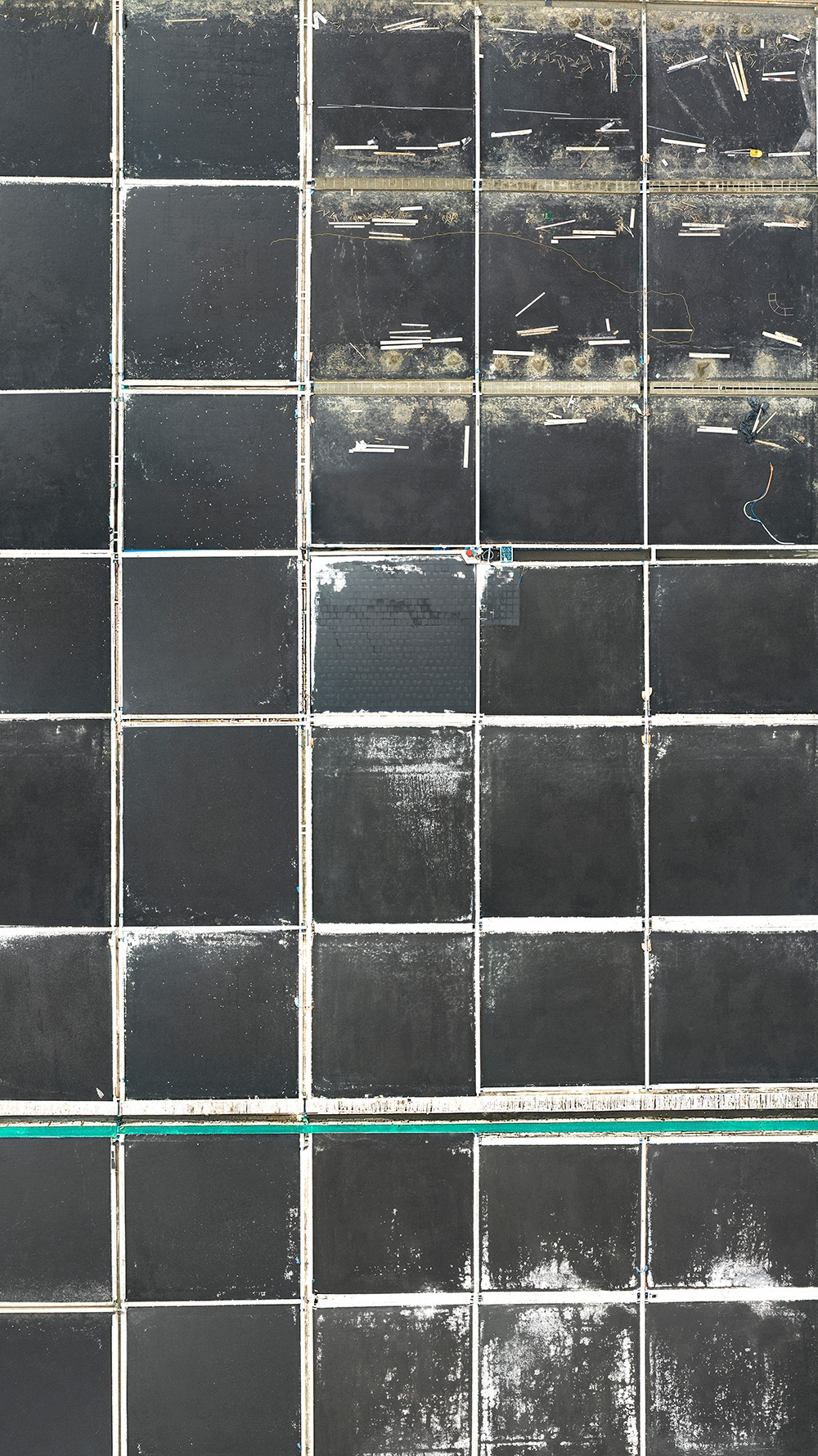 (4) The Pale Red Dot 12.jpg