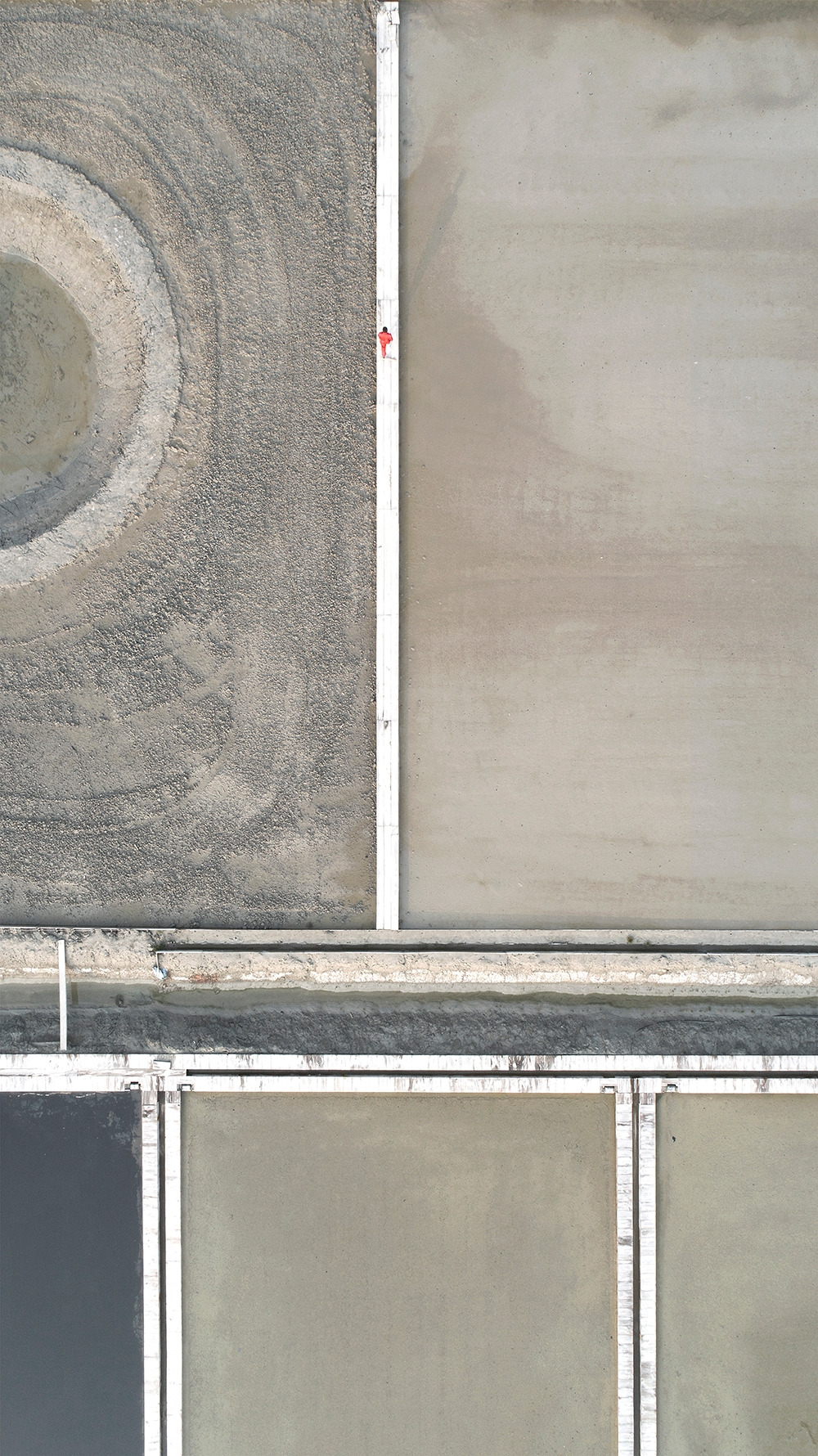 (5) The Pale Red Dot 01.jpg