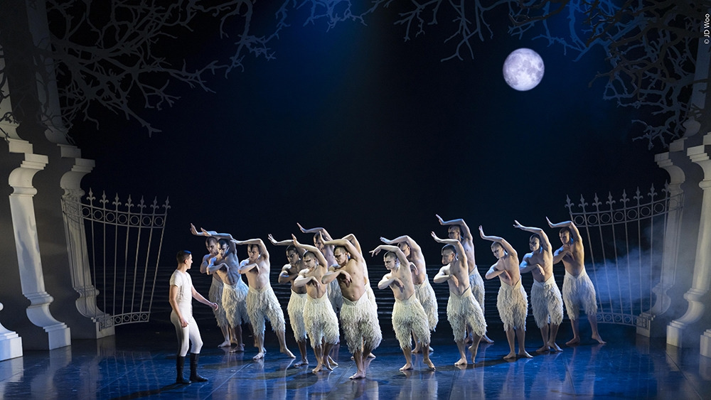 백조의 호수.jpg