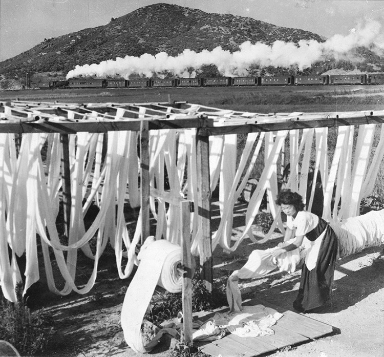 2_포목 건조_125X118mm_gelatin silver print_1955.jpg