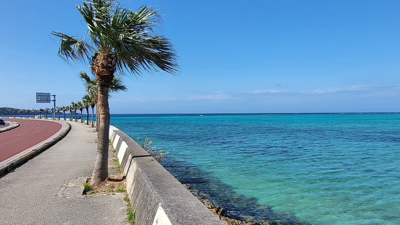 01-06-09 58번 국도.jpg