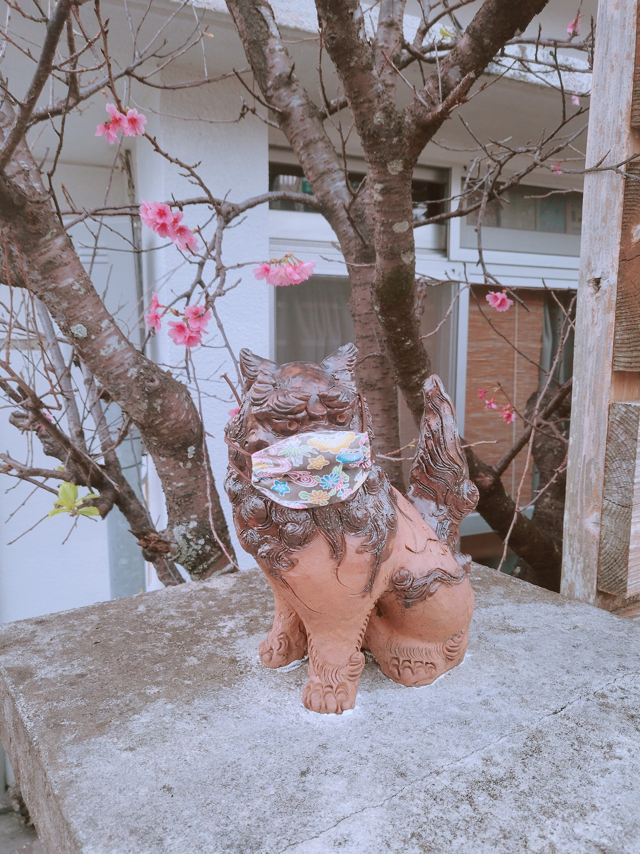 01-05--03 시샤.jpg