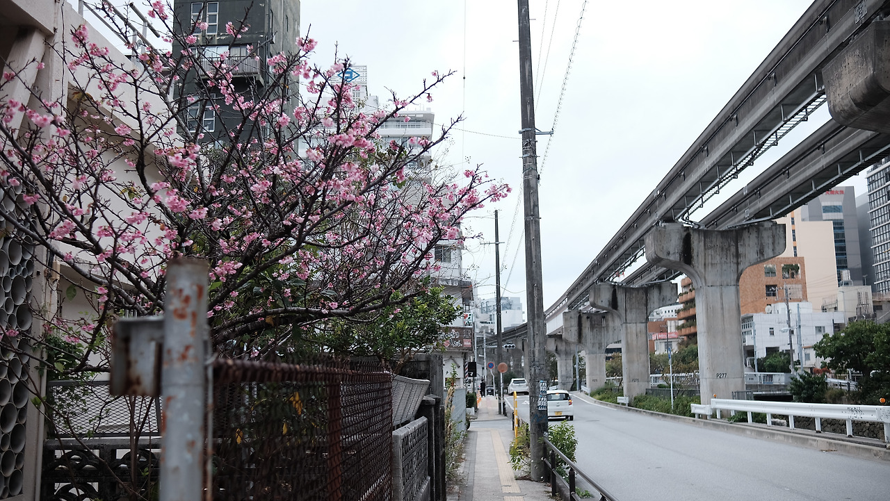 01-02-02 호텔근처의 거리.jpg