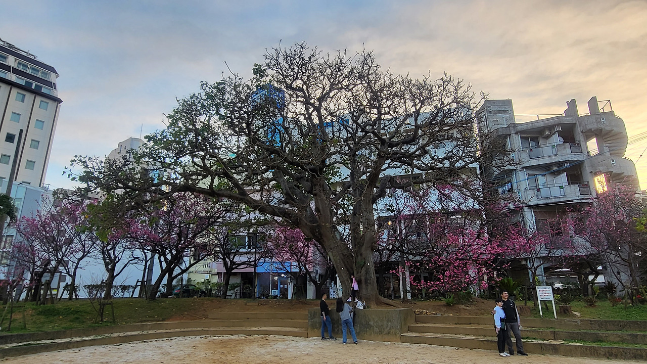 01-02-01 마키시 공원.jpg