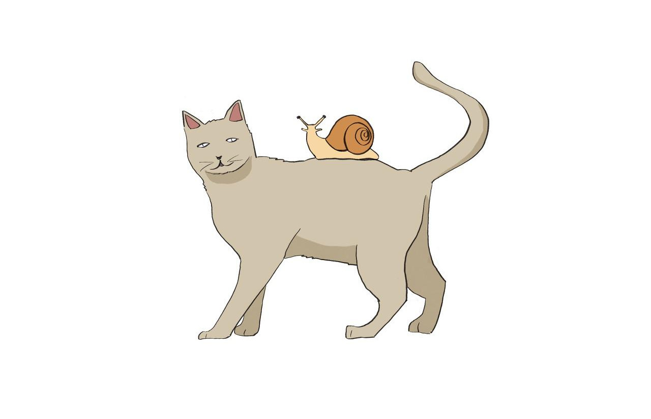 고양이를 탄 달팽이.jpg