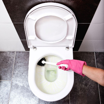 toilet-cleaning-good-housekeeping.jpg