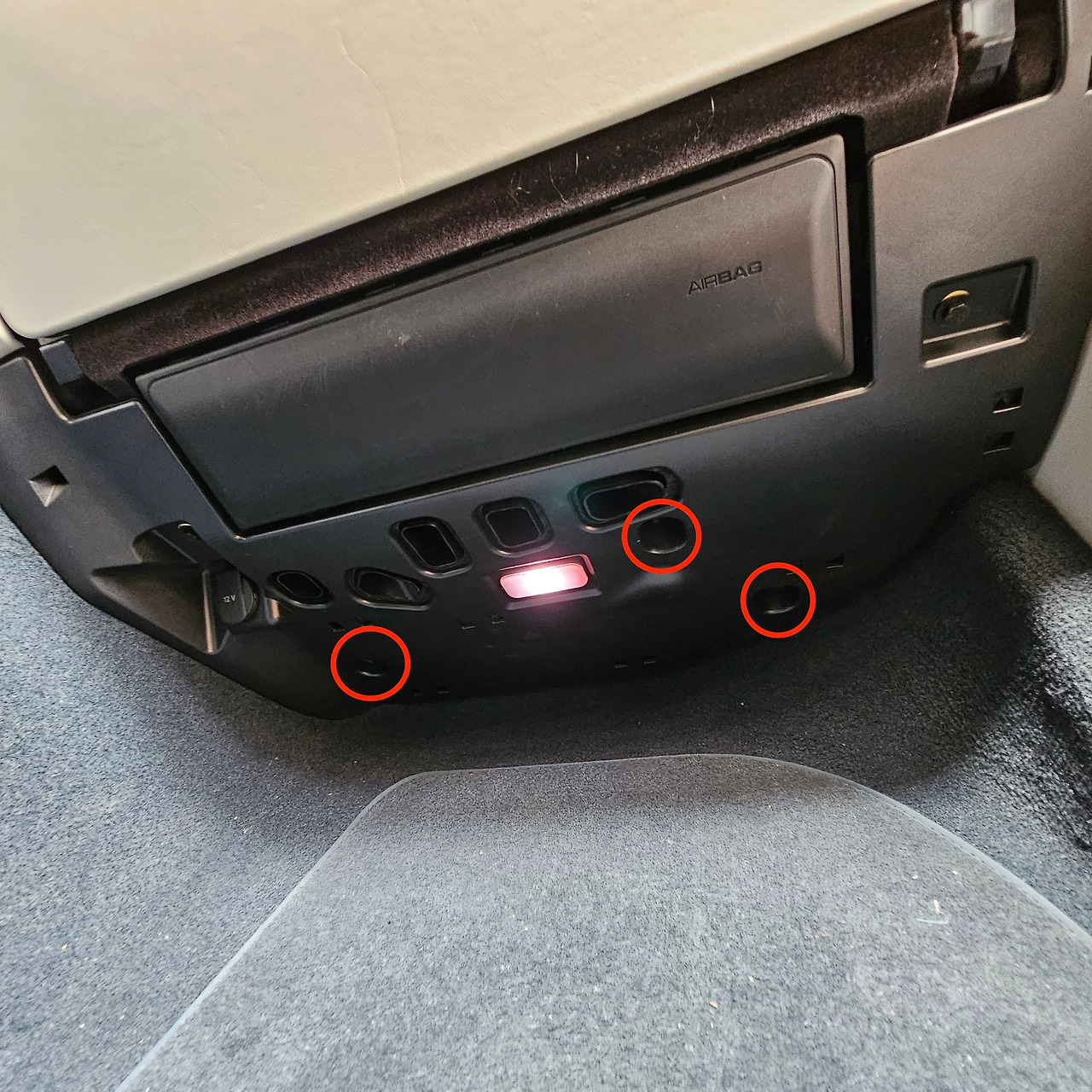 20241017_125217 copy 2.jpg