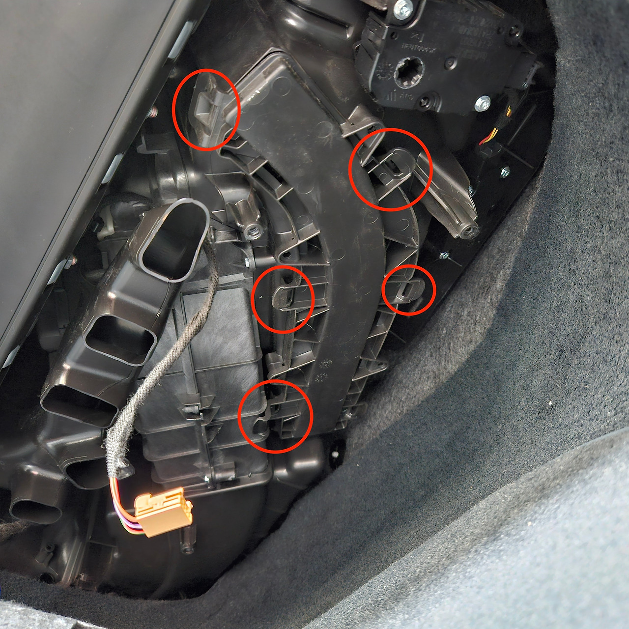 20241017_130657 copy.jpg