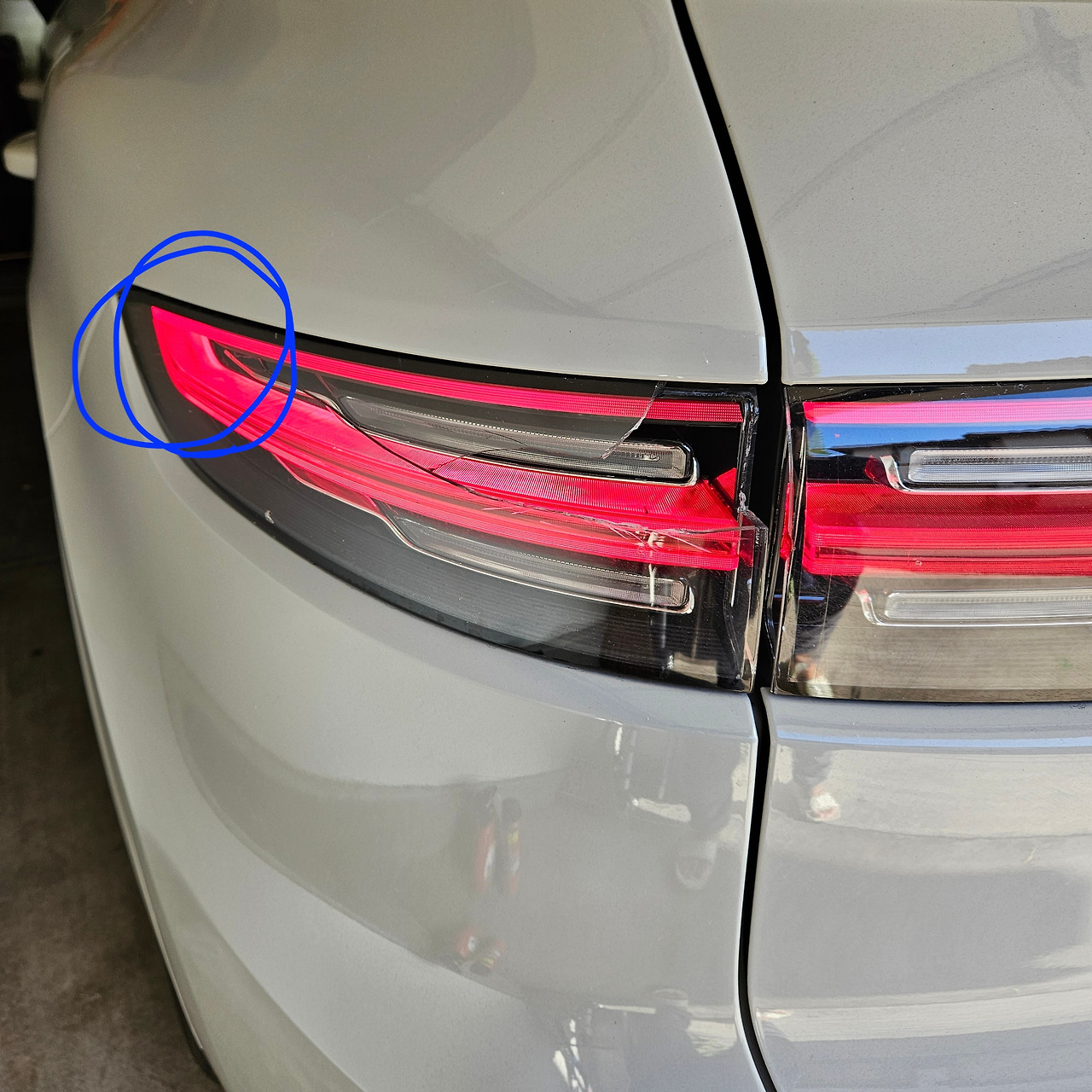 20241011_095613 copy.jpg