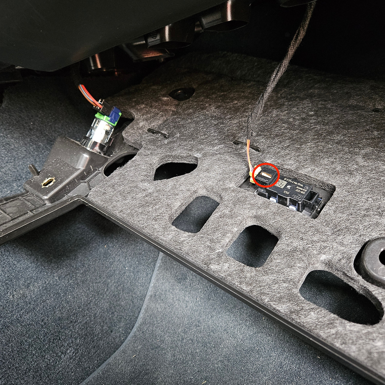 20241017_130401 copy.jpg