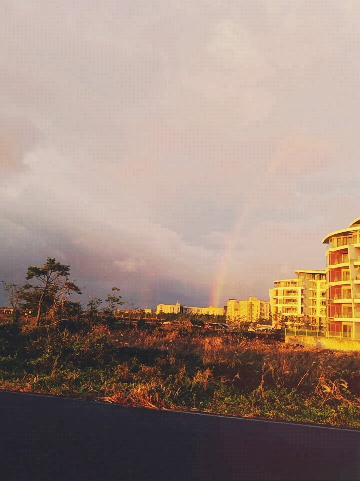 2016년 제주 (1).jpg